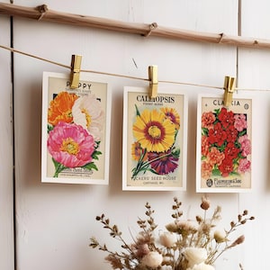 PRINTABLE vintage seed banner, farmers market, flowers, fresh off the market, bridal or baby shower, birthday, decor, instant download, 5x7