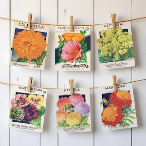 Vintage Flower Seed Packet Banner: Rustic Garden Party Decor (Digital Download)