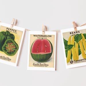 PRINTABLE vintage seed banner, farmers market, veggies, fresh off the market, bridal or baby shower, birthday, decor, instant download, 5x7