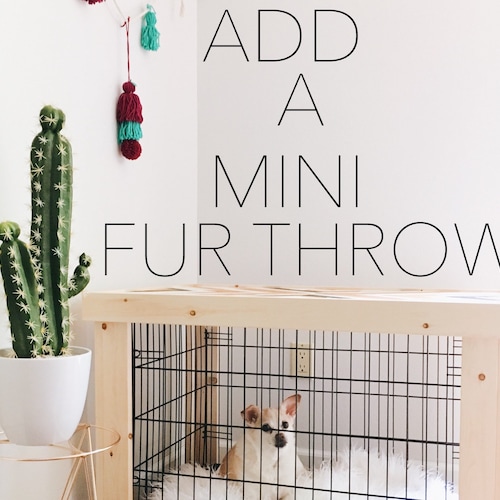 Should You Put A Blanket In Dog Crate