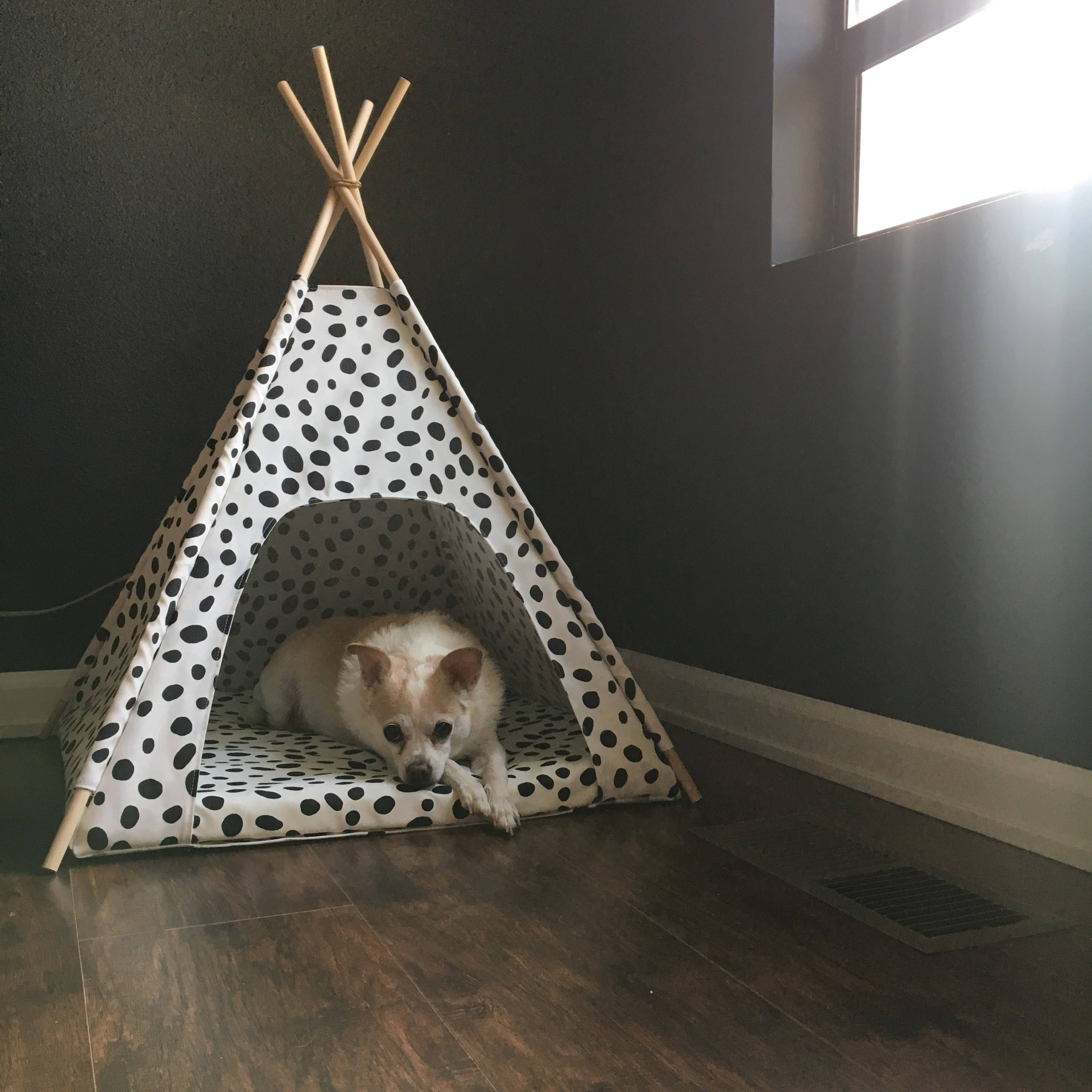 outdoor dog teepee