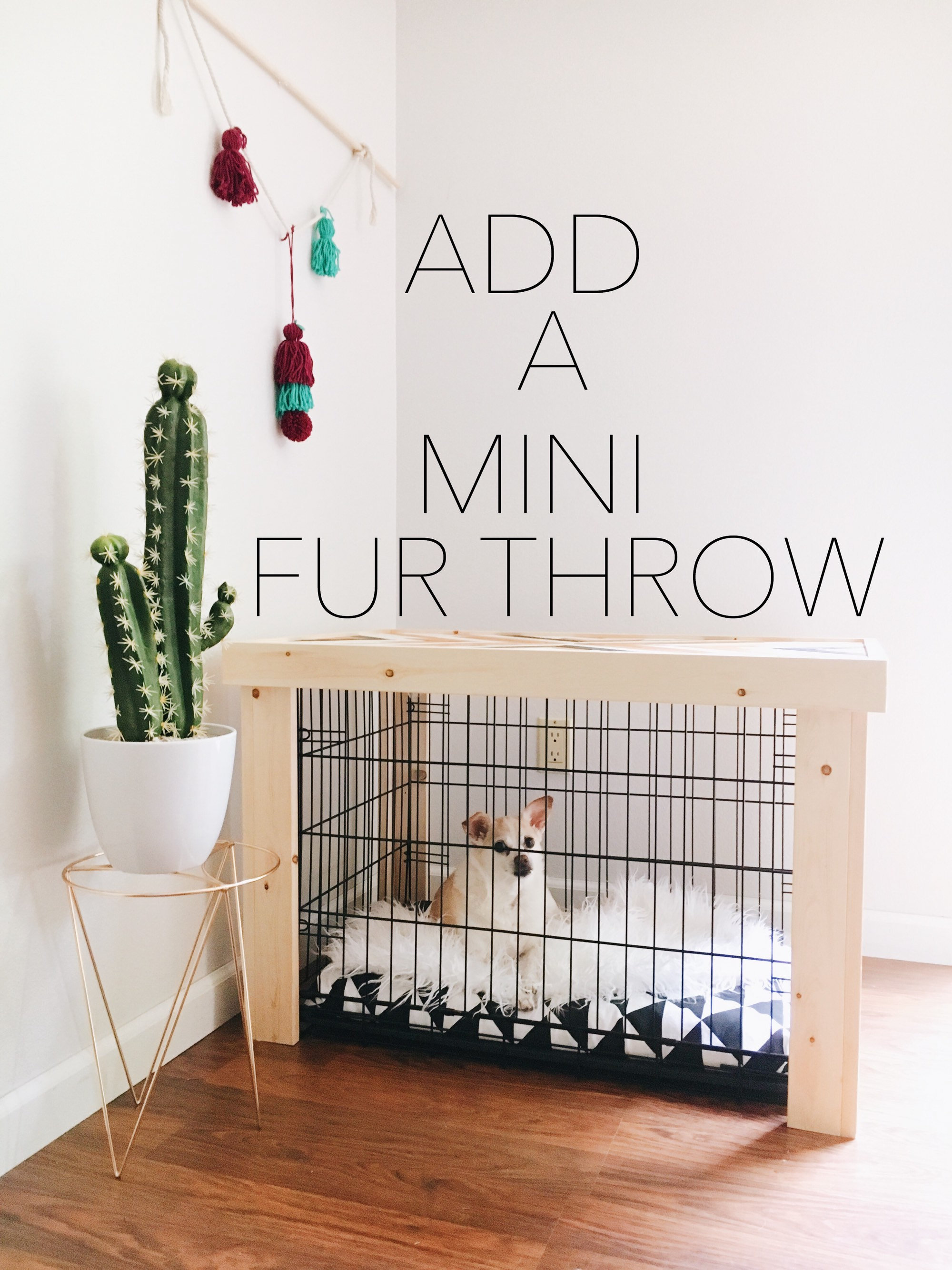 Should You Put A Blanket In Dog Crate