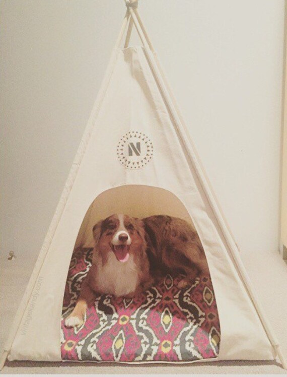 extra large dog teepee