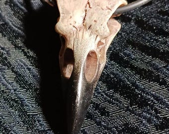 Crows skull on cord