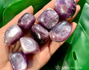 PICK Your Gem Lepidolite Pocket Stone - Dream Collector Tumbled Crystal - Reflective Flashy Lavender Purple