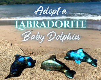 Labradorite Baby Dolphin Flashy Figurine - Orca Killer Whale -  Spirit Animal Crystal - Sea Creature Sculpture - Beach Ocean Desk Decor