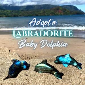 Labradorite Baby Dolphin Flashy Figurine - Orca Killer Whale -  Spirit Animal Crystal - Sea Creature Sculpture - Beach Ocean Desk Decor