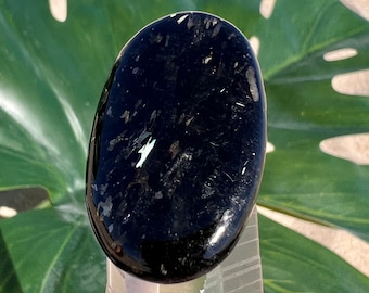 Nuummite Oval Cabochon with Bronze and Blue Flashes - Genuine Rare Greenland Crystal - Flat Palm Stone Tumbled Alternative