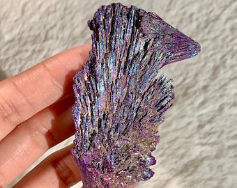 Purple Rainbow Kyanite - Naturally Fused Twin Titanium Aura Empath Protection Raw Crystal Wand - Phoenix Bird Crystallized Feather