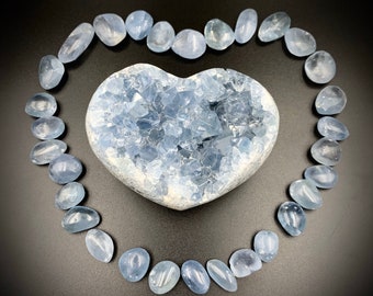 Piedra caída Celestita - Conéctate con tus guías espirituales y ángeles guardianes - Cristales calmantes de color azul bebé para el trabajo en red y la meditación
