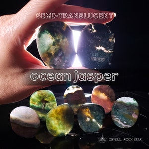 Ocean Jasper Palm Stone - Flat Oval Crystal for Manifestation - Purple Yellow Pink Green Rainbow Red & Semi-Translucent Jelly Fish Collection - CrystalRockStar CA Shop
