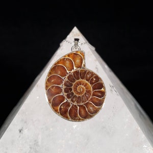 Seashell Ammonite Silver Pendant - Natural Crystal Fossil Shell - Mermaid Ocean Jewelry - Natural Fibonacci Spiral Necklace
