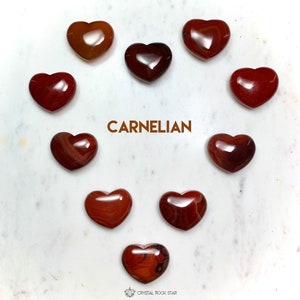 Carnelian Heart Palm Stone Heart Grid - Orange Natural Sacral Chakra Meditation Crystal for Passion and Creativity - Puffy Shape 1.7 Inches - Crystal Rock Star Los Angeles Shop