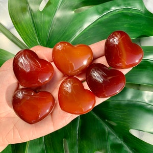 Carnelian Heart Palm Stone - Orange Natural Sacral Chakra Meditation Crystal for Passion and Creativity - Puffy Shape 1.7 Inches - CrystalRockStar California Shop