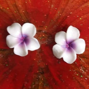 Colorful Plumeria Flower Stud Earrings Hypoallergenic Stainless Steel image 5