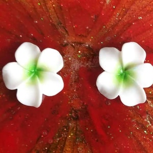 Colorful Plumeria Flower Stud Earrings Hypoallergenic Stainless Steel image 3