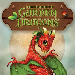 Field Guide To Garden Drachen Orakel Kit Karten Set Kartenheft Drachen wahrsage magie pagan wicca hexen basteln tarot