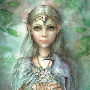 Zestaw kart Oracle Of Light & Dreams Deck Cards Zestaw broszur na karty tarota Magick Magic pogański Wicca Witchcraft Witchcraft Druid Celtic Fairy Mermaid