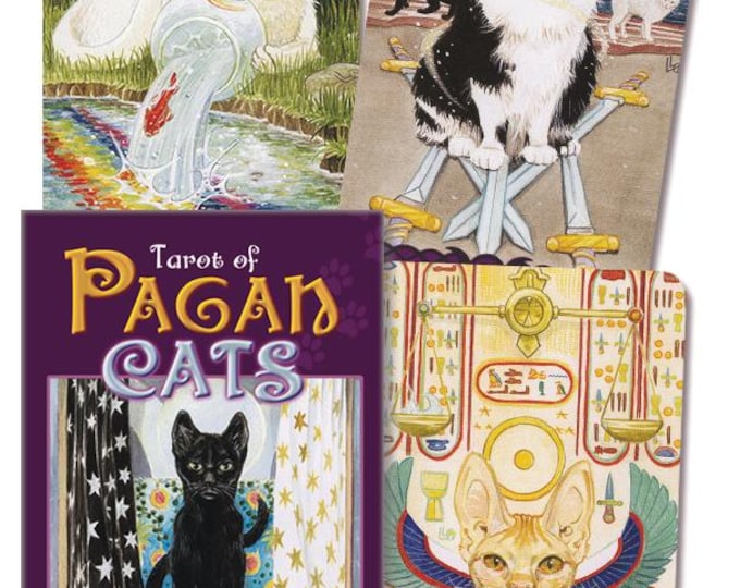 Womanrunes Interpretation Guide, Book AND Card Set (divination, Oracle ...