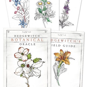 Hedgewitch Botanical Oracle Kit Card Deck & Guidebook Set tarotkaarten en boek magie magie hedge heks ambacht hekserij wicca heidense wicca