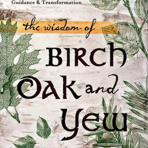May include: Book cover with a white birch bark background and green leaves. The title is "the wisdom of BIRCH OAK and YEW" with the author's name "PENNY BILLINGTON" at the bottom.