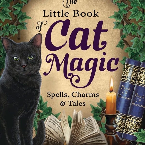 The Little Book of Cat Magic Book by Deborah Blake Spells Charms Tales & Lore cats magick pagan witch craft witchcraft wicca wiccan