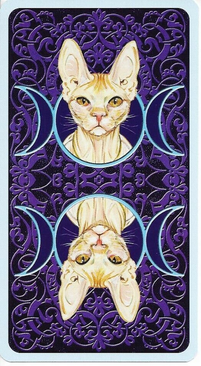 Tarot of Pagan Cats Deck Cards Set Fantasy Art Oracle Card Etsy