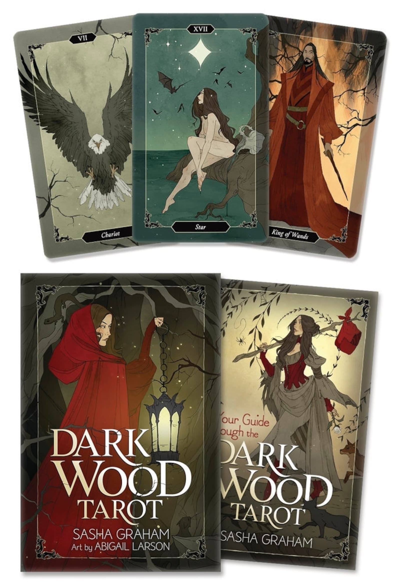 Darkwood карта