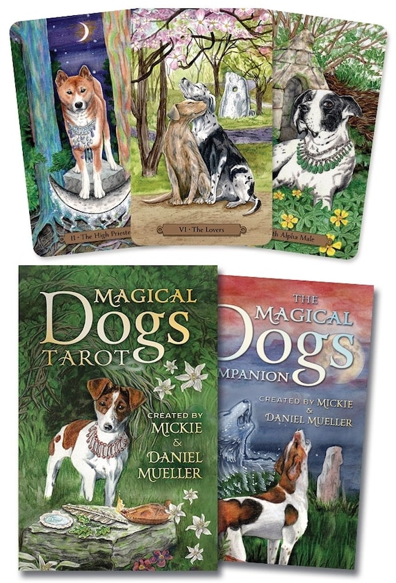 Magical Dogs Tarot Kit Card Deck & Guidebook Set Cat Oracle Etsy