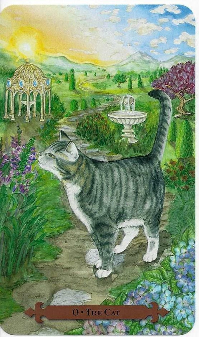 Mystical Cats Tarot Kit Card Deck & Guidebook Set Cat Oracle Etsy