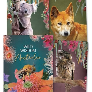 Wild Wisdom Australien Orakel Kit Kartendeck & Ratgeber Set Tarot Karten Buch Magie Hexe Bastelkunst Wicca Pagan Schamanen Schamanismus