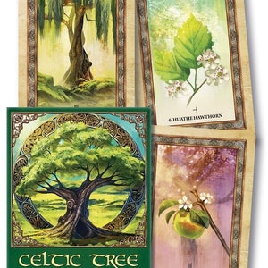 Celtic Tree Oracle Cards & Guidebook Set Tarot Card Deck Book Kit fantasy art magick magic pagan witchcraft witch craft druid druidism