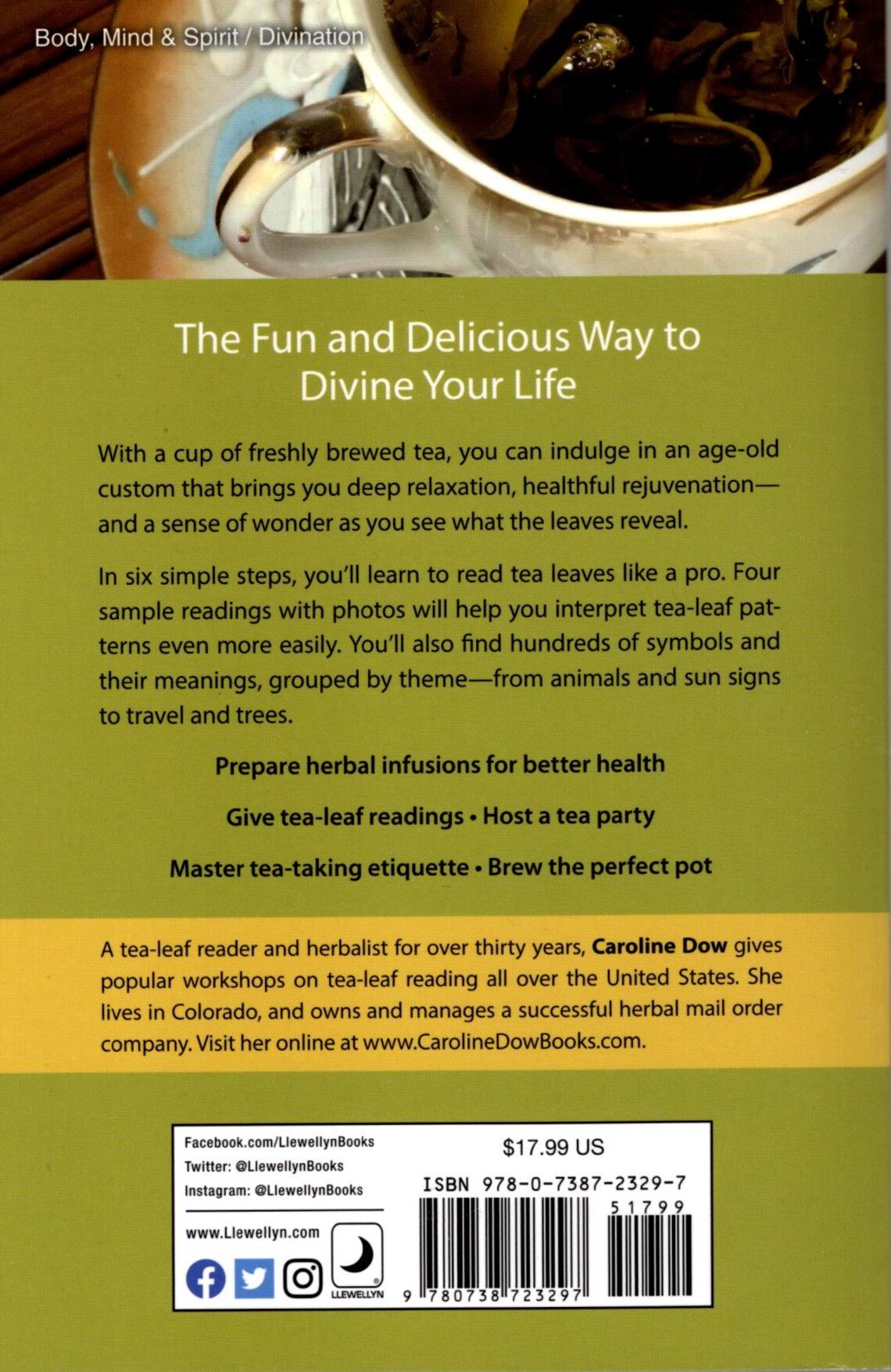 Tea Leaf Reading for Beginners Book Learn to Read Tea