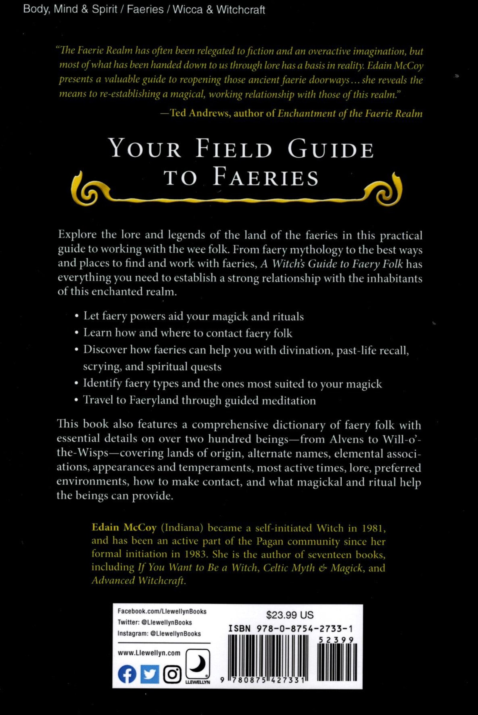 A Witch's Guide to Faery Folk Book How to Work With the Elemental World ...