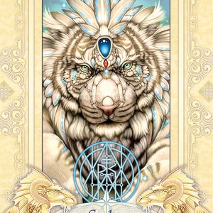 Seeker Oracle Cards & Guidebook Set Ravynne Phelan Tarot Card Deck Booklet Kit magick magic pagan witchcraft witch craft wicca wiccan druid