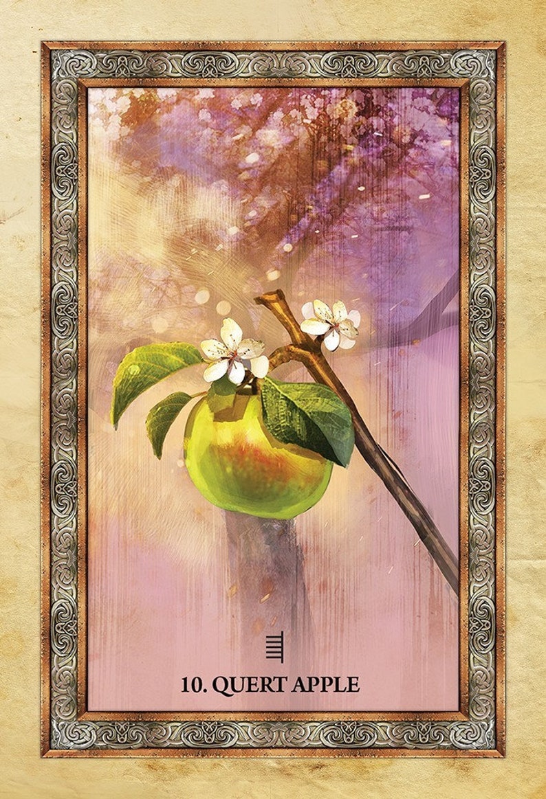 Оракул деревьев. Кельтский оракул деревьев (celtic tree oracle). карты таро the celtic tree oracle. оракул из дерева. дрог охон дерево кельтский оракул.