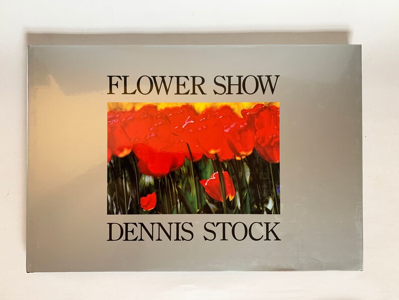 Silver Vintage Coffee Table Book With Stunning Photography By Famed Photographer Dennis Stock A Rizzoli Publication In Pristine Condition