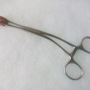 Young Tongue Forceps 7&#39;&#39; Curved With Pads Stainless Steel