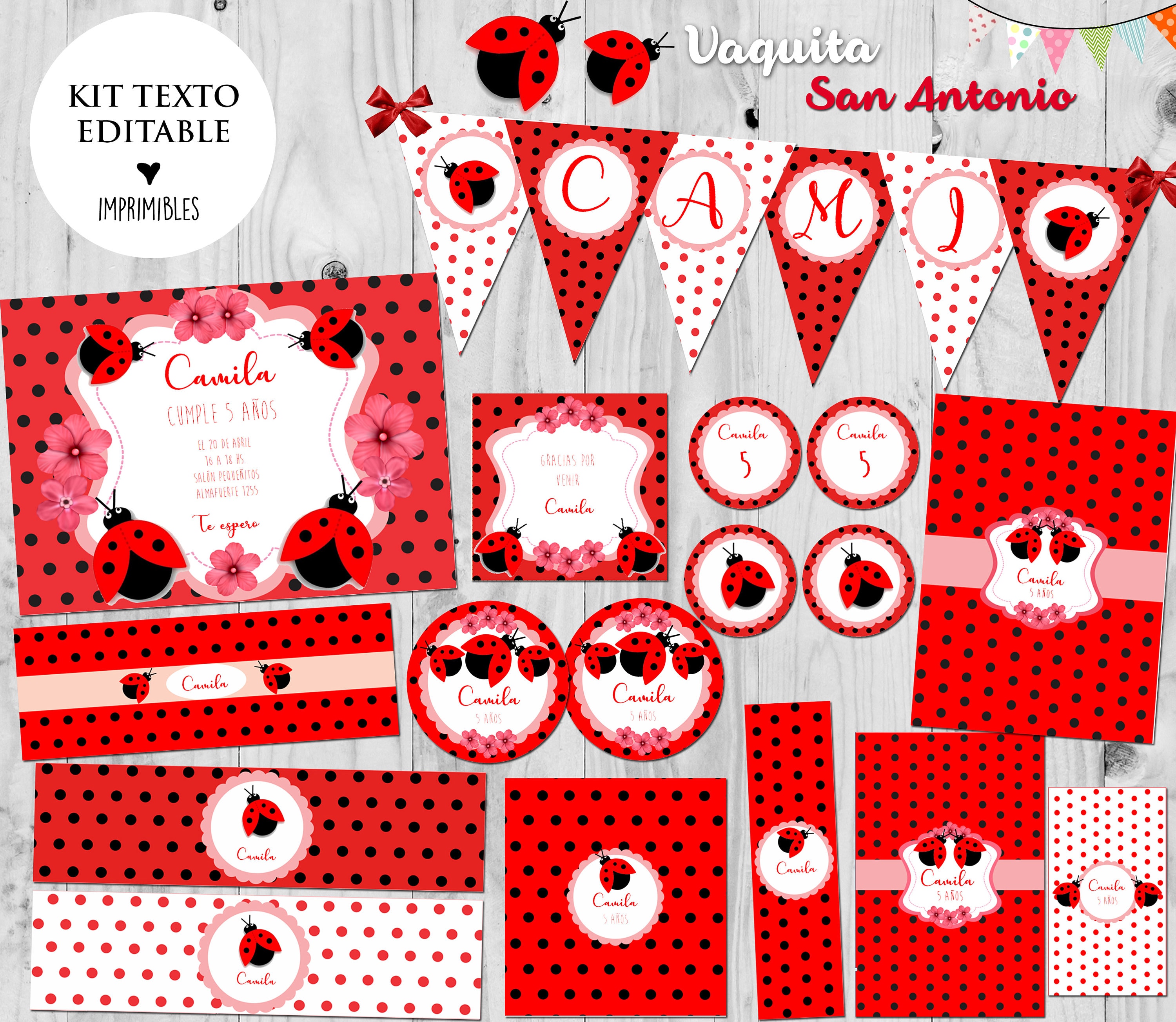 Kit Imprimible Ladybug – Kits para imprimir gratis