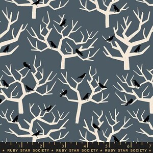 Ruby Star Society - The Birds on Ghostly - Tiny Frights