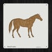 Horse 114 Style 2008 DIY Stencil Clear Plastic Acrylic Mylar Reusable