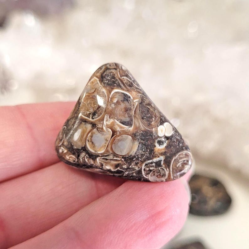 Peut inclure: Une pierre polie de forme triangulaire avec un motif distinctif de couleurs marron, beige et cr&egrave;me. La pierre a une surface lisse et arrondie et un aspect naturel et organique. La pierre est un objet d&eacute;coratif.