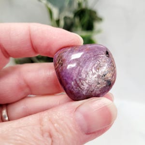 Puede incluir: Una piedra preciosa pulida en forma de coraz&oacute;n, en tonos morados y plateados. La piedra tiene un patr&oacute;n arremolinado y una forma suave y redondeada. La piedra preciosa se sostiene en una mano, con un fondo borroso de vegetaci&oacute;n.