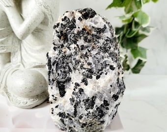 Natural Tourmalinated Quartz Specimen • Black Tourmaline in White Quartz Matrix
