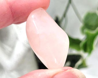 Rose Quartz Crystal Tumblestones • Ethically Sourced