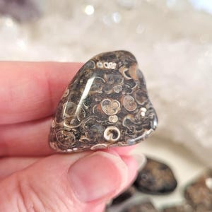 Peut inclure: Une pierre polie et arrondie avec un motif unique de formes circulaires et ovales marron et beige. La pierre a une surface lisse et brillante et est tenue dans une main. La pierre est un objet d&eacute;coratif naturel.