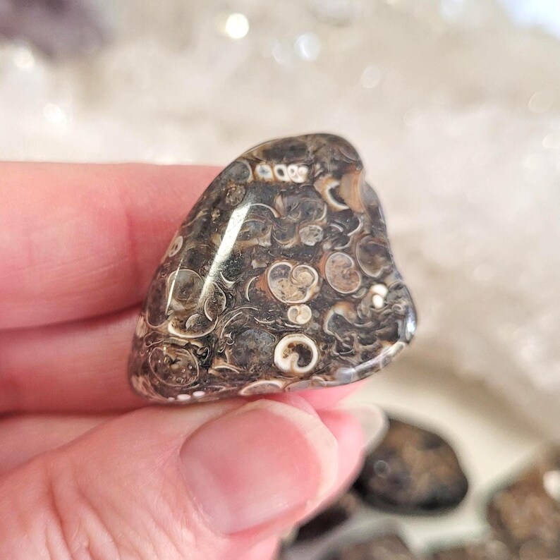 Peut inclure: Une pierre polie et arrondie avec un motif unique de formes circulaires et ovales marron et beige. La pierre a une surface lisse et brillante et est tenue dans une main. La pierre est un objet d&eacute;coratif naturel.