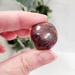 Puede incluir: Una gema pulida, de forma ovalada, con un color burdeos intenso y inclusiones marr&oacute;n oscuro. La piedra tiene una superficie lisa y reflectante, y se sostiene entre los dedos. El fondo est&aacute; borroso, con toques de follaje verde.