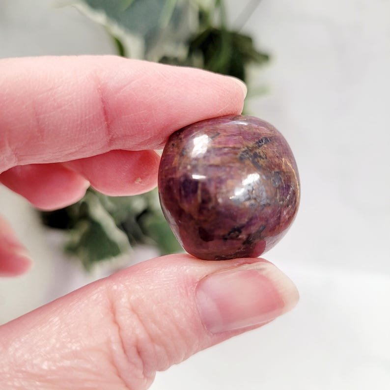 Puede incluir: Una gema pulida, de forma ovalada, con un color burdeos intenso y inclusiones marr&oacute;n oscuro. La piedra tiene una superficie lisa y reflectante, y se sostiene entre los dedos. El fondo est&aacute; borroso, con toques de follaje verde.