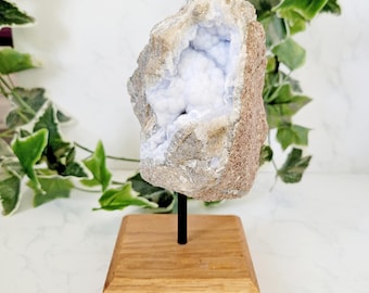 Blue Lace Agate Specimen on Stand • Natural Blue Chalcedony Botryoidal Formation